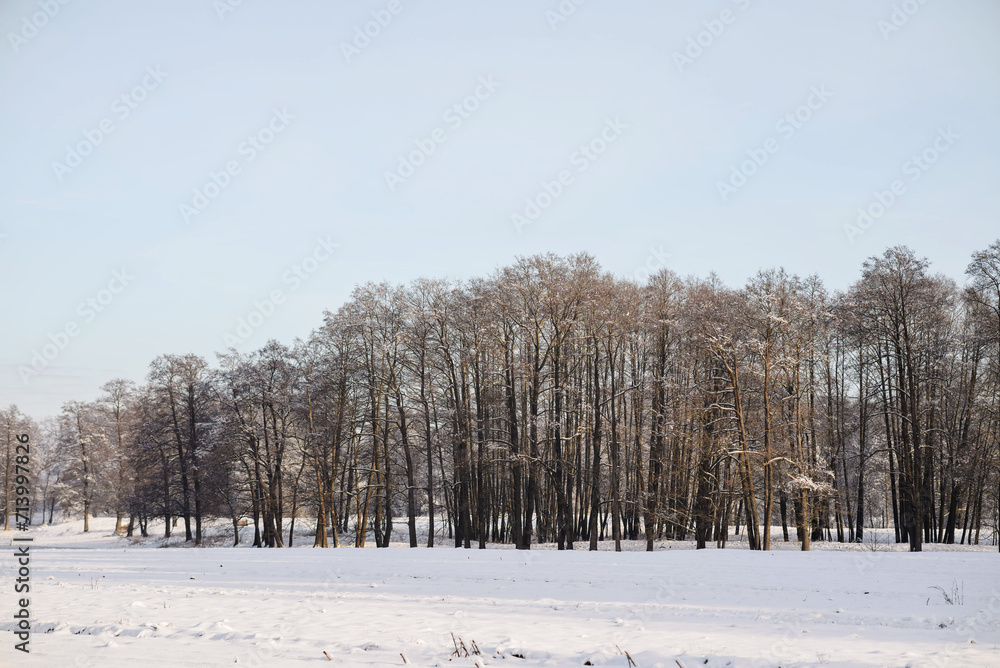 Winter landscape of the countryside and suburbs Winter landscape of the countryside and suburbs