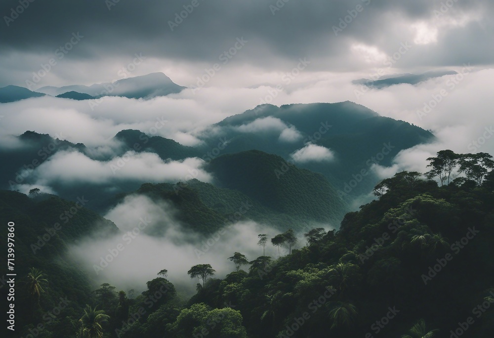 Foggy landscape in the jungle Fog and cloud mountain tropic valley landscape aerial view Foggy landscape in the jungle Fog and cloud mountain tropic valley landscape aerial view