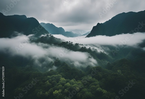 Foggy landscape in the jungle Fog and cloud mountain tropic valley landscape aerial view © ArtisticLens