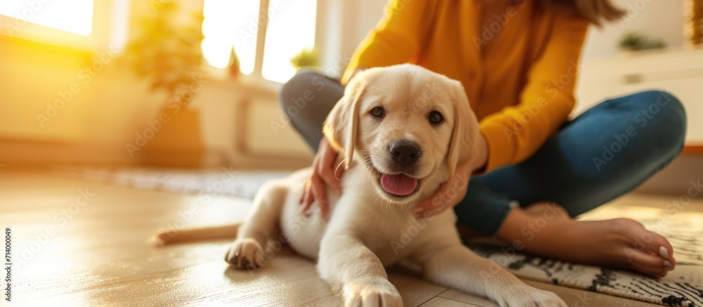 Woman petting small yellow dog on floor at home. - obrazy, fototapety, plakaty 