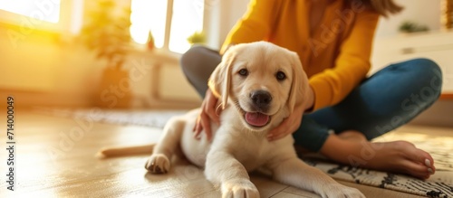 Woman petting small yellow dog on floor at home.