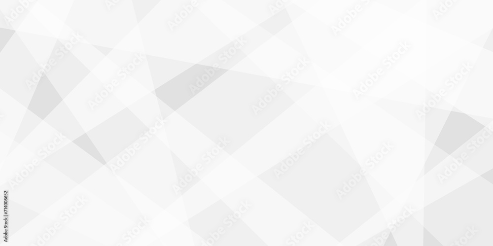 Abstract background with white and gray and geometric style with simple ...