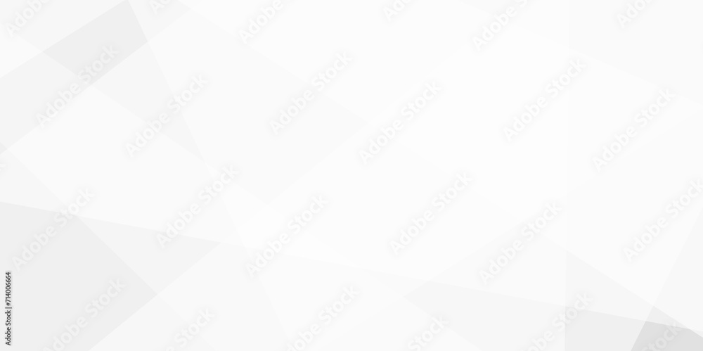 Obraz premium Abstract background with white and gray and geometric style with simple lines and corners, triangle as background geometric style with simple lines and corners, triangle as background paper texture 