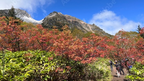 紅葉の焼岳