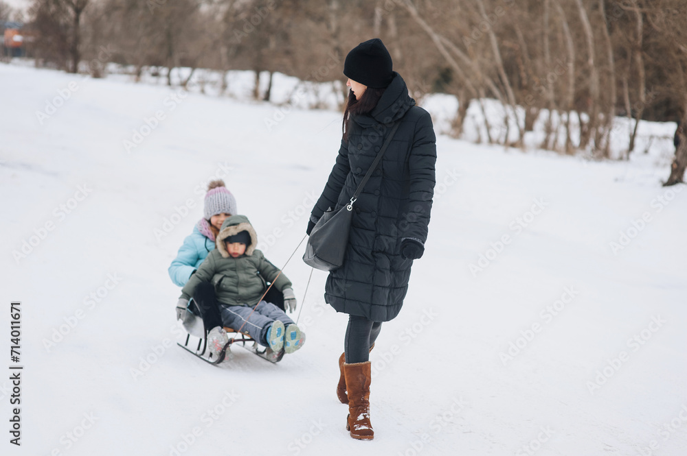 A young woman, a beautiful brunette girl, a mother, rides her children, a little boy, her son, and a girl, her daughter, on a sled in the snow in winter. Photography, portrait, happy family concept. A young woman, a beautiful brunette girl, a mother, rides her children, a little boy, her son, and a girl, her daughter, on a sled in the snow in winter. Photography, portrait, happy family concept.