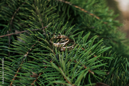 Beautiful gold rings with a diamond lie on a branch of a spruce coniferous tree. Wedding photography.