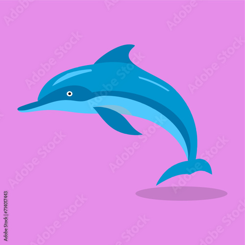 vector flat dolphin fish illustration