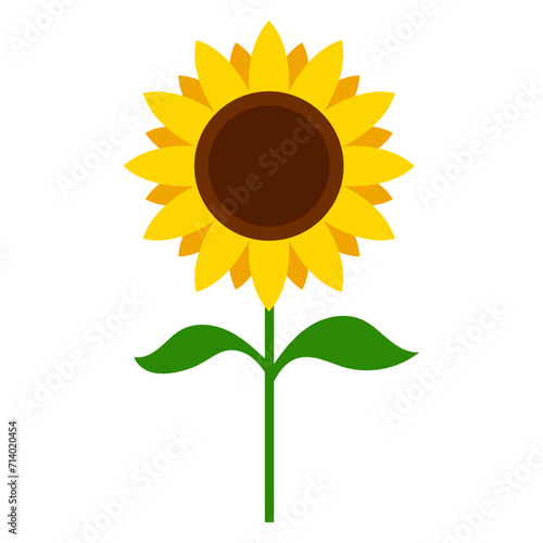 Sunflower Plant Illustration