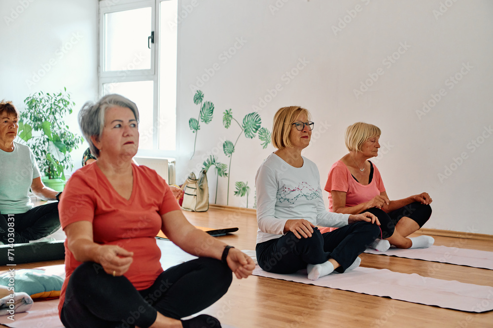A group of senior women engage in various yoga exercises, including neck, back, and leg stretches, under the guidance of a trainer in a sunlit space, promoting well-being and harmony A group of senior women engage in various yoga exercises, including neck, back, and leg stretches, under the guidance of a trainer in a sunlit space, promoting well-being and harmony