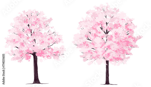 Photographie pink cherry blossom, Vector of flower grass or blooming shrub site view isolated