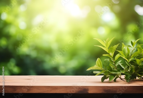 empty wooden table top with green garden and blur leaf plant background