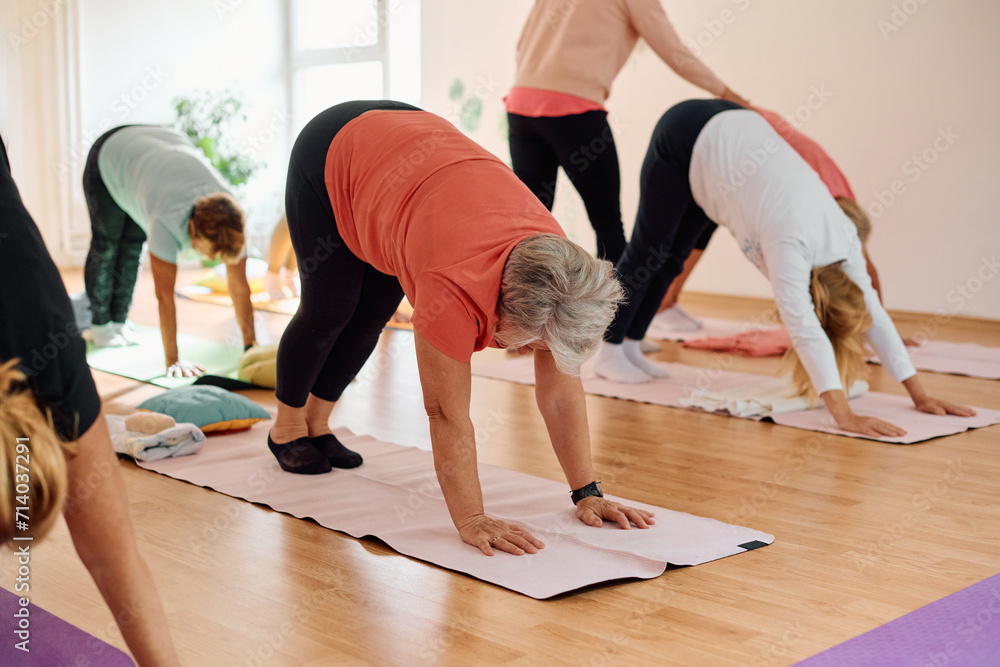 A group of senior women engage in various yoga exercises, including neck, back, and leg stretches, under the guidance of a trainer in a sunlit space, promoting well-being and harmony A group of senior women engage in various yoga exercises, including neck, back, and leg stretches, under the guidance of a trainer in a sunlit space, promoting well-being and harmony