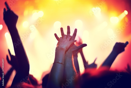 Fototapeta Naklejka Na Ścianę i Meble -  Nightclub, concert and audience with hands or lights for music, party and rave festival with couple and love. Disco, psychedelic event and performance with entertainment, crowd and rear view gesture