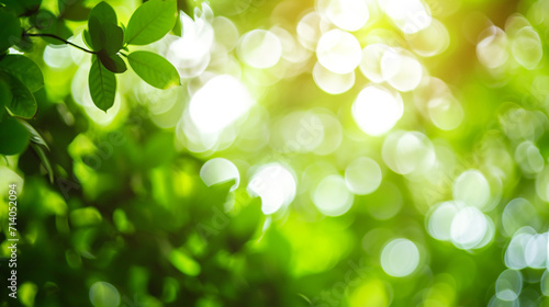 Bokeh Nature Abstract Background, Nature Green Bokeh Background. Copy paste area for texture