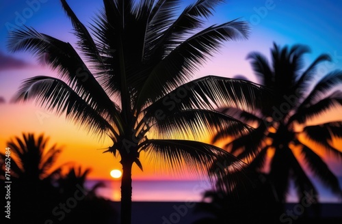 Palm trees silhouettes on tropical summer beach at vivid sunset time