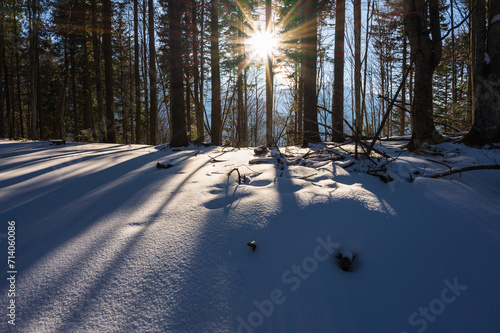 Sonnenstern über schneebedeckter Waldlandschaft in rumänischen Karpaten