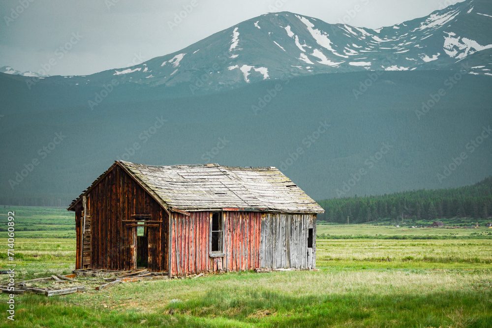 Rustic old wooden house in a field of grass with snowcapped Mt. Massive in the background