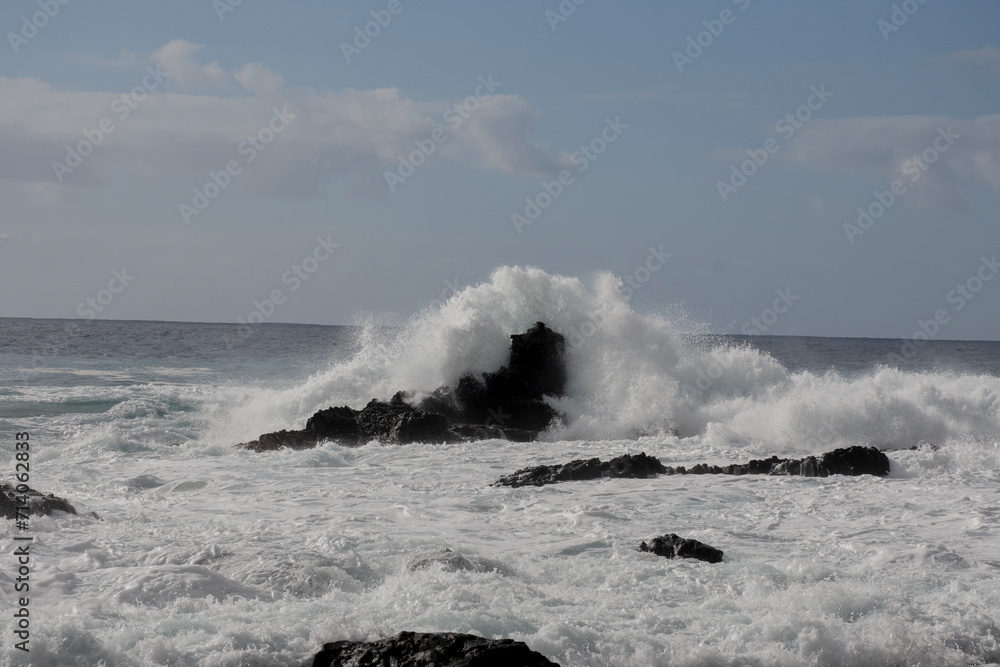 Fototapeta premium 2023-canarie-0746