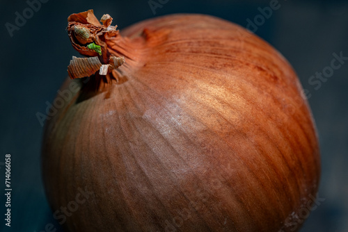 onion on a table