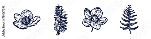 Handmade blockprint flower fern vector motif clipart set in folkart scandi style. Simple monochrome linocut floral leaf shapes with naive rural lineart collection.