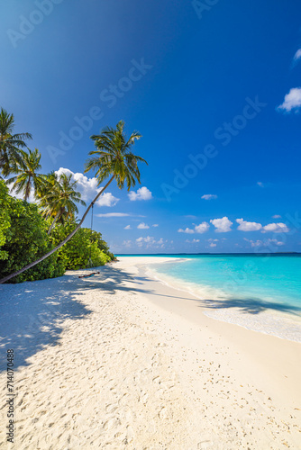 Best tranquility tropical landscape. White sand sunshine sea sky palm trees. Luxury travel vacation destination. Exotic beach landscape. Amazing nature, relax wellbeing, freedom summer shore seaside 