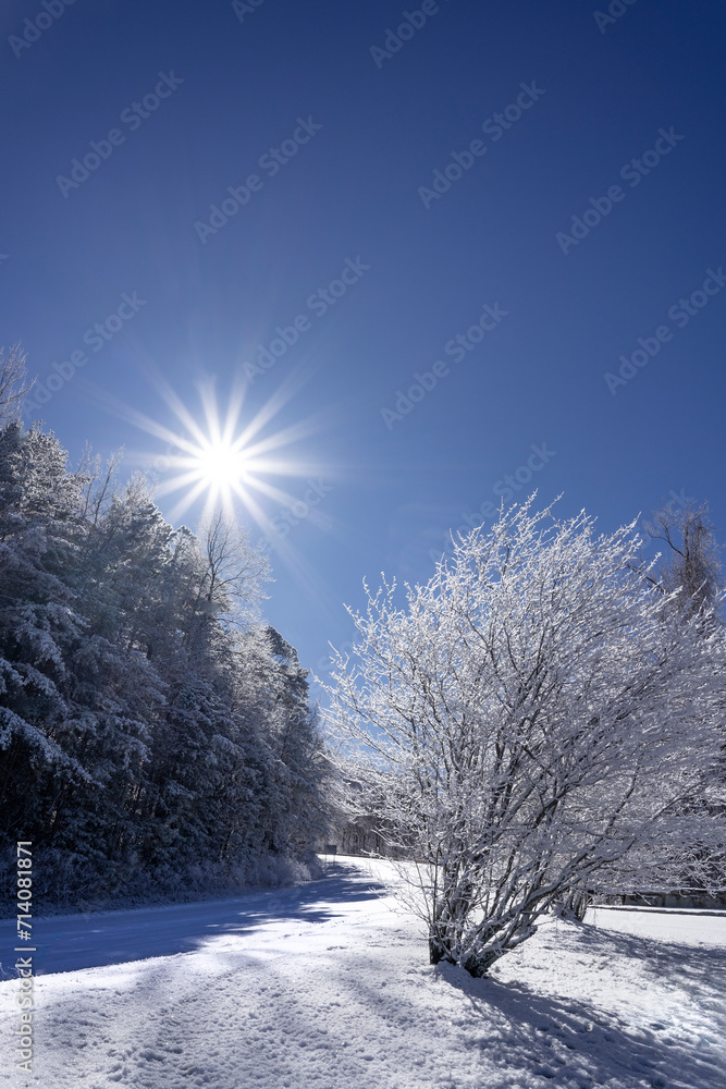 The Cherohala Skyway covered in a blanket of fresh snow, with snow-capped trees glistening in the bright sun, creating a beautiful winter wonderland in the mountains - Turkey Creek Overlook, TN. The Cherohala Skyway covered in a blanket of fresh snow, with snow-capped trees glistening in the bright sun, creating a beautiful winter wonderland in the mountains - Turkey Creek Overlook, TN.
