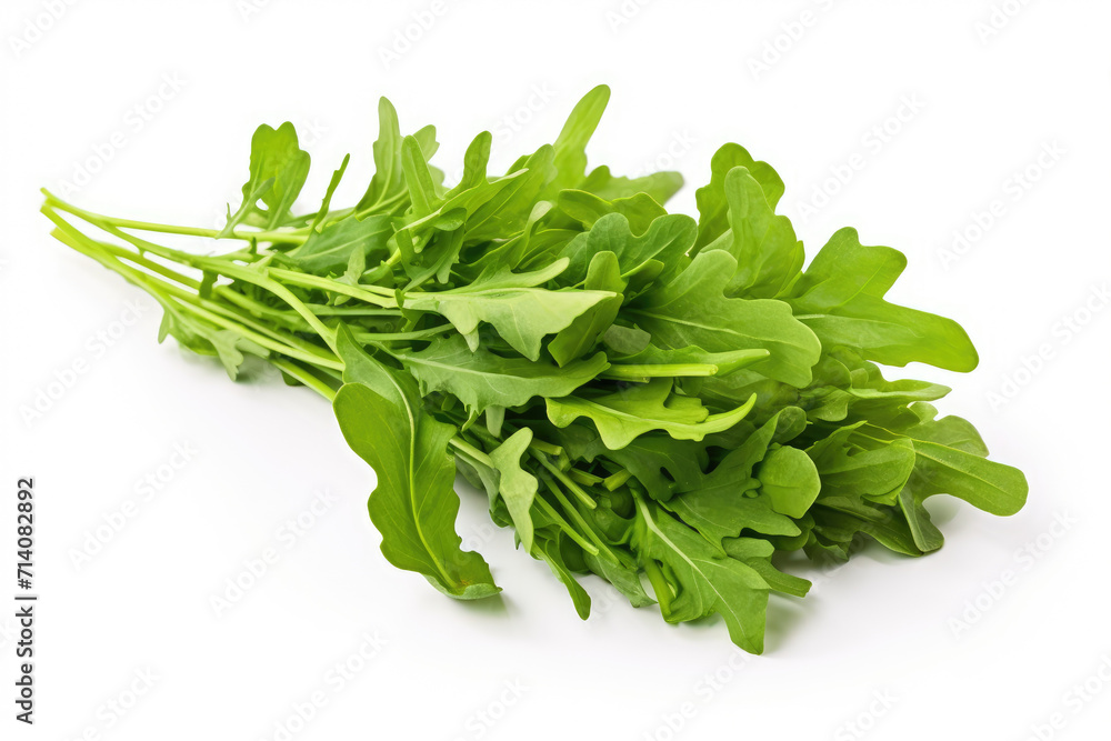 Arugula plant, isolated white background Arugula plant, isolated white background