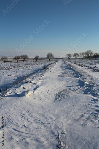 A snowy field with trees and a blue sky