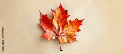 Thanksgiving greeting with autumn leaf illustration on paper.