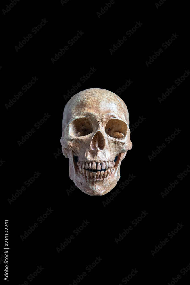 Obraz premium Black background with a spooky human skull, isolated and set against the darkness, embodying the themes of Halloween, death, and anatomy in a bone-chilling display