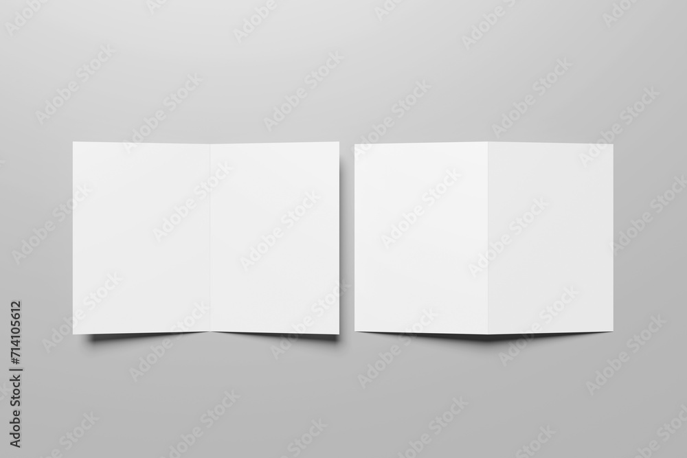 Bifold mockup Bifold mockup