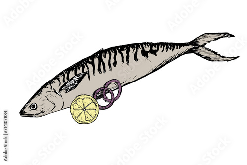 Fish sketch of atlantic mackerel with lemon and onion. Delicious marine fish isolated on white background. Drawing of food. Dish for fish restaurant, menu design.