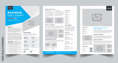 Business Fact Sheet, Nonprofit Organization Fact Sheet layout design template