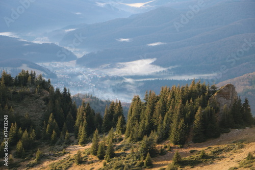A picturesque valley with pine trees and majestic mountains in the distant background, creating a breathtaking scene.