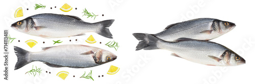 Sea bass fich isolated on white background . Top view. Flat lay photo