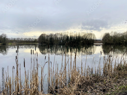 A view of Alderford Lake in Shropshire in the winter