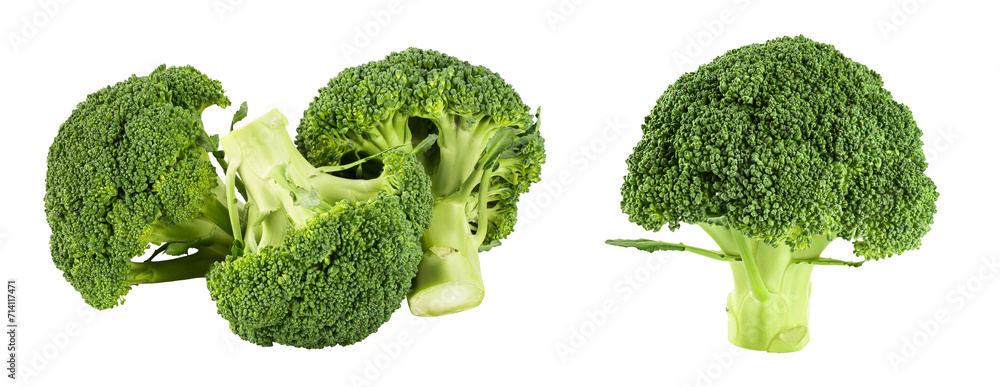 fresh broccoli isolated on white background close-up with full depth of field. fresh broccoli isolated on white background close-up with full depth of field.