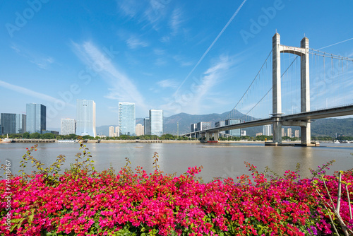 Red flowers in the park and the urban skyline of the financial district, Fuzhou, China © onlyyouqj