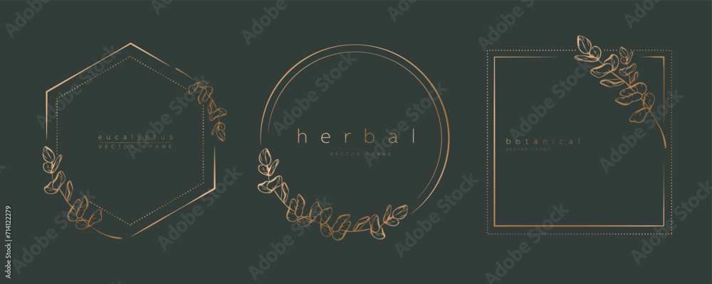 Botanical eucalyptus circle frame set. Hand drawn round line border, leaves and flowers for wedding invitation and cards, logo design, social media and posters template. Elegant minimal vector. Botanical eucalyptus circle frame set. Hand drawn round line border, leaves and flowers for wedding invitation and cards, logo design, social media and posters template. Elegant minimal vector.
