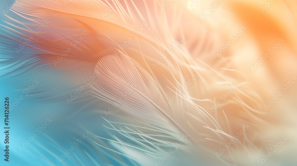 High-Resolution Close-Up of Delicate Feather with Soft Color Gradient: Natural and Calming Delicate Texture