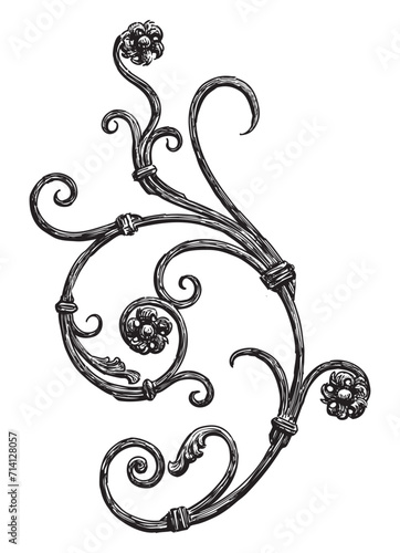 Hand drawing of vintage decorative architectural detail floral design element in old fashioned style for decoration background, vector illustration isolated on white
