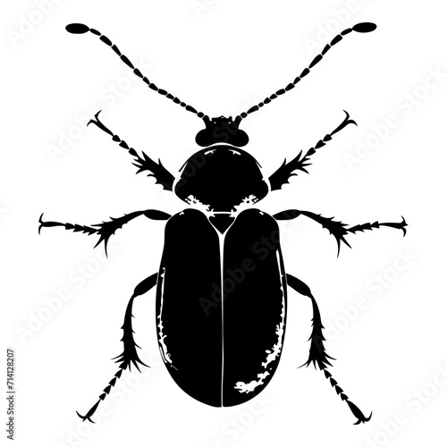 Silhouette insect or bug full body black color only