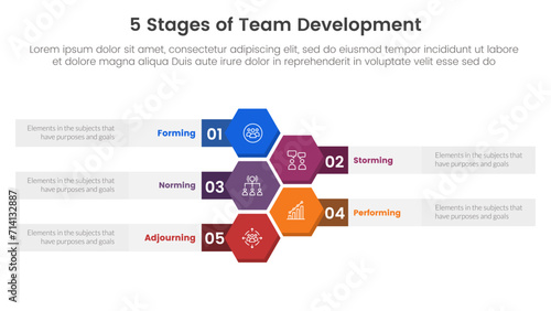5 stages team development model framework infographic 5 point stage template with honeycomb or hexagon vertical for slide presentation