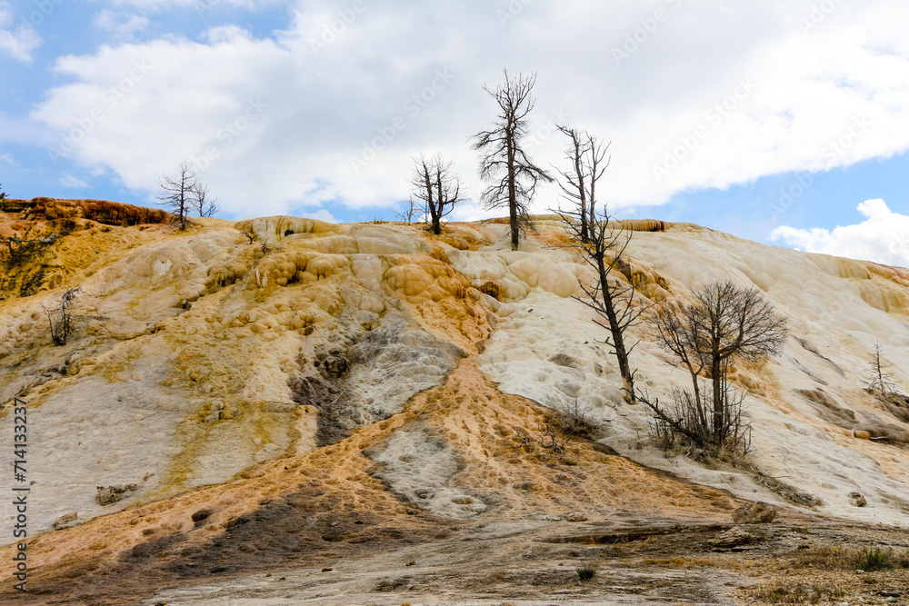 Mammoth Hot Springs Terrace Yellowstone National Park Mammoth Hot Springs Terrace Yellowstone National Park