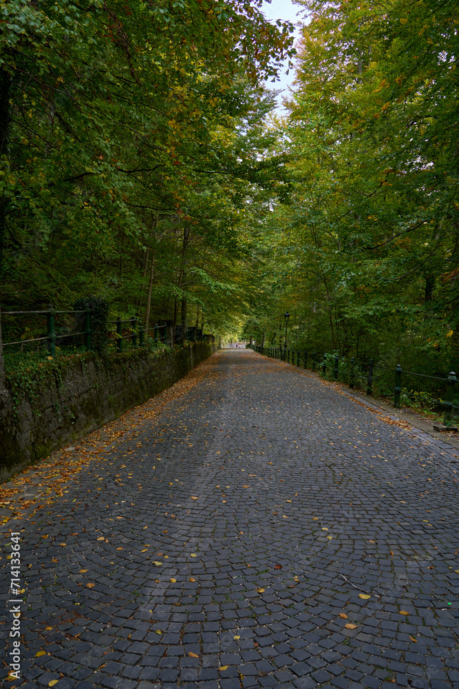 Road and walkway up to Peles Castle in rural Romania Road and walkway up to Peles Castle in rural Romania