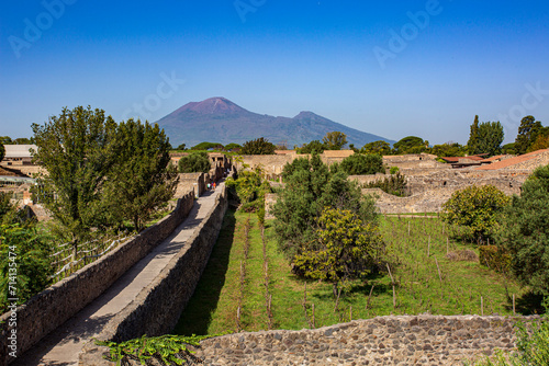View of a vineyard in Pompeii, Italy