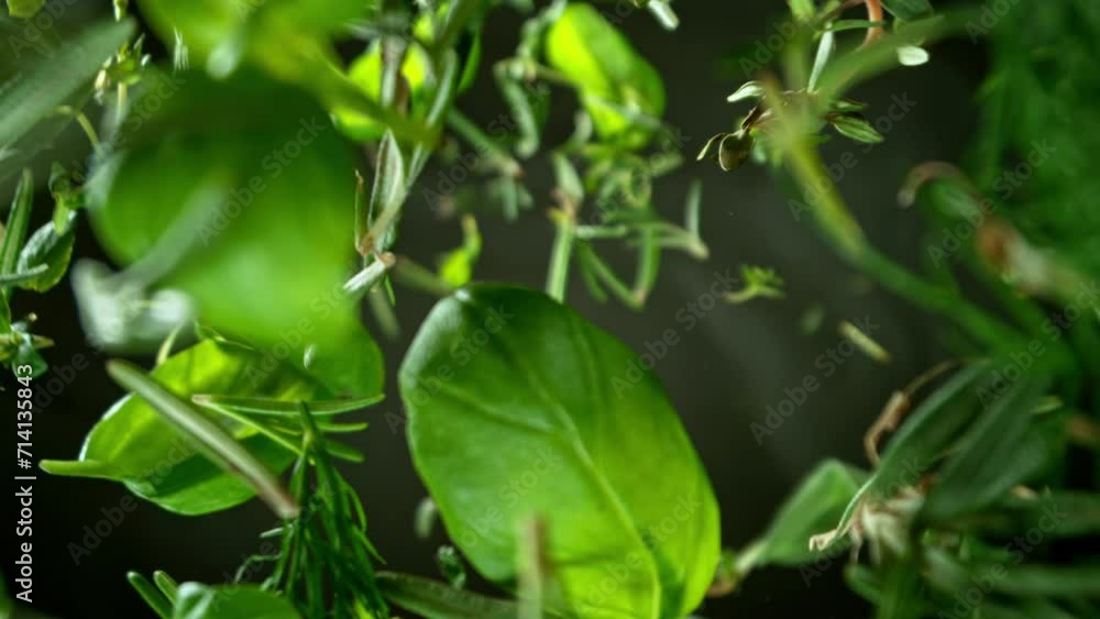 Super slow motion of falling and rotating fresh herbs. Ultimate perspective and motion. Filmed on high speed cinema camera, 1000 fps. Super slow motion of falling and rotating fresh herbs. Ultimate perspective and motion. Filmed on high speed cinema camera, 1000 fps.