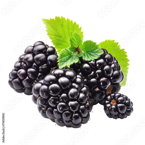 Blackberry isolated on transparent background