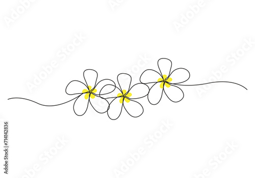 Plumeria flowers in continuous one  line art drawing. Frangipani blossom. Vector illustration isolated on white.
