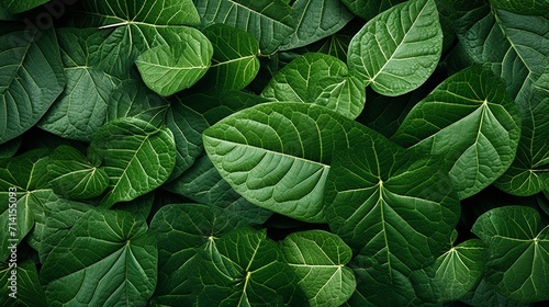 Top view of green leaf pattern background.